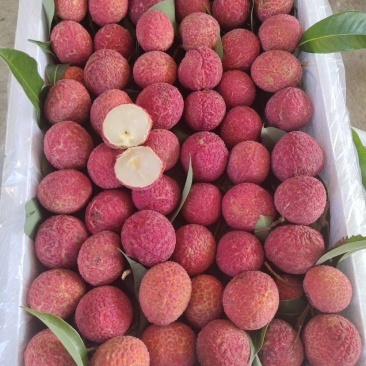 無核荔枝,支持3斤,5斤,10斤一件代發