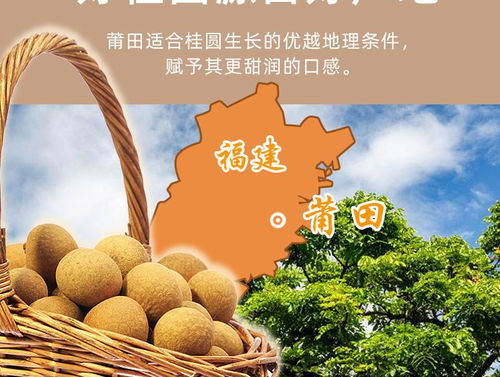 莆田桂圓肉龍眼肉干無(wú)核特產(chǎn)無(wú)加糖龍眼肉干半斤 一斤