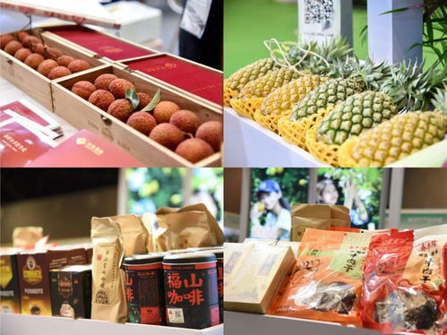 澄邁無核荔枝香飄農(nóng)博會 上海市民贊不絕口