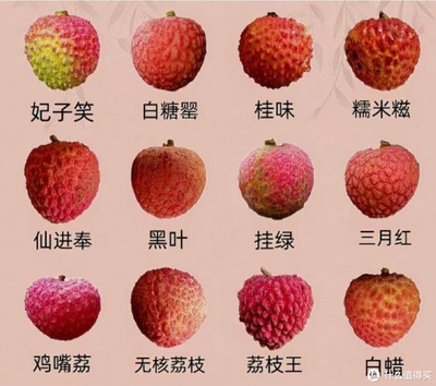 荔枝的分類與無核荔枝——你嘗過幾種？