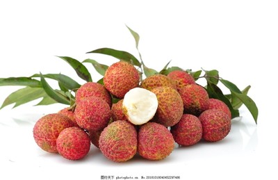 無核荔枝 水果界的革命性品種