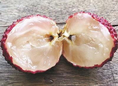 荔枝無(wú)核市民嘗鮮存疑惑 專(zhuān)家:通過(guò)嫁接等手段培育