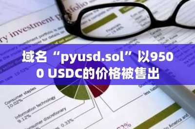 域名pyusd.sol以9500 USDC價(jià)格售出，凸顯數(shù)據(jù)處理與存儲(chǔ)服務(wù)領(lǐng)域增長(zhǎng)潛力